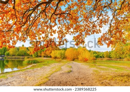Scenic view of an autumn forest and lake, framed by gracefully drooping branches of an oak tree adorned with golden-yellow leaves, capturing the essence of fall's vibrant beauty.