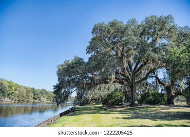 Scenic View Of Bayou Petite Anse At Avery Island In Iberia Parish Louisiana In Autumn