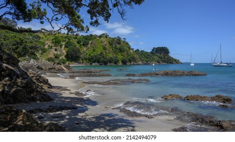 Scenic view of beach, Waiheke Island, Auckland, Auckland Region, North Island, New Zealand