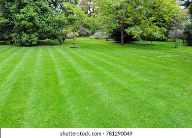 Scenic View of a Beautiful English Style Garden with a Large Open Green Grass Lawn