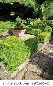 Scenic View Of A Beautiful Formal Garden With Verdant Topiary Hedge