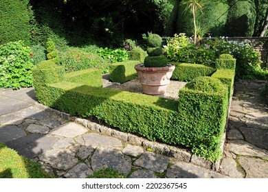 Scenic View Of A Beautiful Formal Garden With Verdant Topiary Hedge