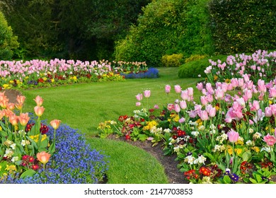 Scenic view of a beautiful garden with grass lawn and flowers in bloom