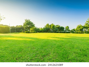 Scenic view of a beautiful landscape garden grass lawn and green leafy plants. spring nature with a neatly trimmed lawn surrounded by trees against a blue sky  - Powered by Shutterstock