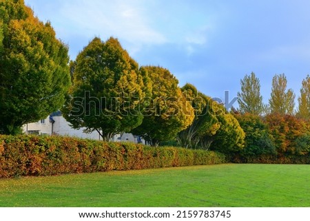 Scenic view of a beautiful park garden with a grass lawn and leafy trees