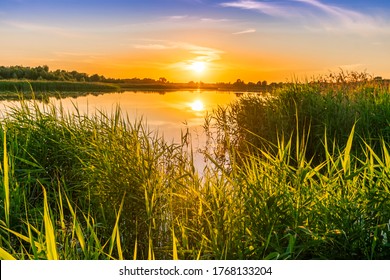 Scenic view at beautiful spring sunset with reflection on a shiny lake with green reeds, grass, golden sun rays, calm water ,deep blue cloudy sky and glow on a background, spring evening landscape