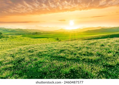 Scenic view at beautiful spring sunset in a green shiny field with green grass and golden sun rays, beautiful cloudy sky on a background - Powered by Shutterstock