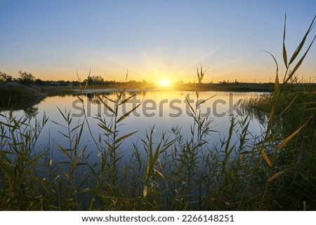 Scenic view of beautiful sunrise or dawn above the pond or lake at spring or early morning with cloudy fog over water and reed with dew. Silhouettes of a flock of birds on the background colorful sky