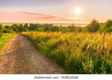 Scenic view at beautiful sunrise in a far misty valley, bright crimson cloudy sky, flowers and grass , white mist , trees and golden sun rays with glow, summer morning field landscape - Powered by Shutterstock