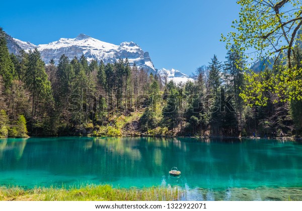 スイスの小さな湖 ブラウゼの景色 スイスのベルン人アルプス カンダーステッグ ベルンカントン ジュンフラウ地方のブルーズ湖自然公園の壮観な眺め の写真素材 今すぐ編集