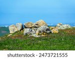 Scenic view of boulders on a grassy hill, surrounded by colorful wildflowers, with a clear blue sky in the background