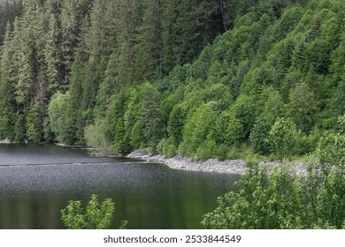 A scenic view of the calm lake with the backdrop of lush, forested mountains and overcast skies at Capilano River Regional Park - Powered by Shutterstock