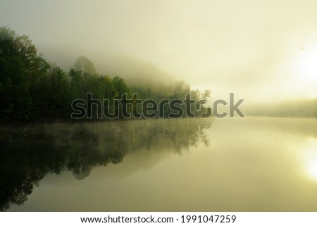 Similar – Trees and Reflection Calm