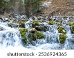 A scenic view of a cascading stream flowing over moss-covered rocks in a forest setting. The clear, rushing water and vibrant greenery create a refreshing and peaceful atmosphere perfect for nature 