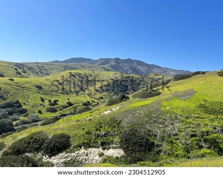 Scenic view at Channel Islands National Park