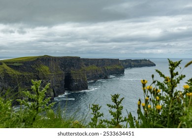 Scenic view of the Cliffs of Moher in Ireland with overcast sky and wildflowers in the foreground - Powered by Shutterstock