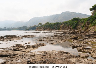 A scenic view of coastal cliffs covered in greenery, with a rugged rocky shoreline extending into calm waters under a soft, cloudy sky. Ideal for nature and landscape themes - Powered by Shutterstock