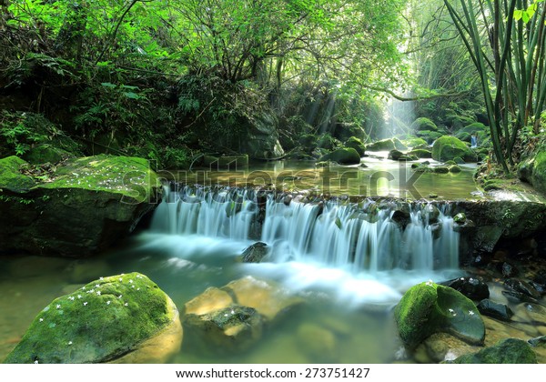 緑豊かな緑の中を日差しで照らし 苔むした岩に花を散らし 神秘的な森の中に隠れた涼しい清涼な滝の風景 春の台湾の美しい川の風景 の写真素材 今すぐ編集