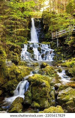 Scenic view of Dickson Falls in Fundy National Park Canada attraction