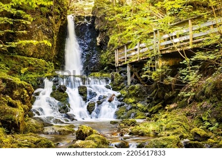Scenic view of Dickson Falls in Fundy National Park Canada attraction