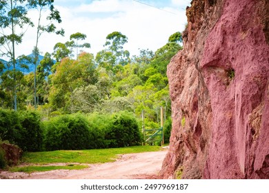 Scenic view of a dirt road and lush vegetation with a prominent pink rock formation in Serra da Bocaina. The vibrant colors and natural setting create a striking landscape. - Powered by Shutterstock