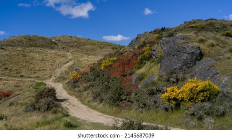 Scenic view of dirt road, Queenstown Hill Time Walkway, Queenstown, Otago Region, South Island, New Zealand