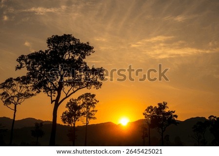 Scenic view dramatic beautiful sunset sky. Natural Sunset Sunrise on meadow silhouette shadow dark land. Vibrant dramatic sky on sunset, dawn, sunrise in Countryside. Landscape Colorful Sky At Sunset