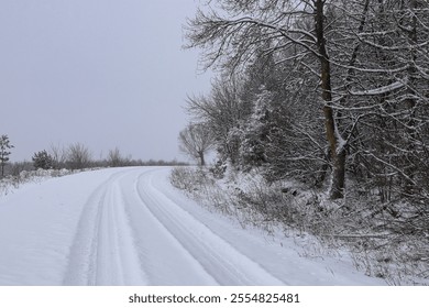  Scenic view of empty, not cleared road with snowy landscape during snowfall in winter season. Right turn onto a slippery winter road. A gloomy winter day. Ukraine.
