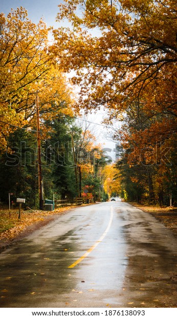 Scenic view of empty wet\
road in autumn