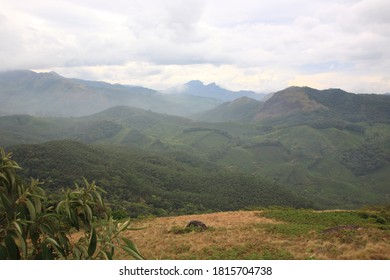 Scenic view of Eravikulam national park and green Tea plantation with misty foggy surrounding in Kerala, India. 