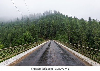 scenic view in Fairfax Bridge  before go to  carbon river in Mount Rainier by ,WA,USA