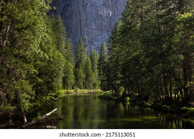 Scenic view of famous Yosemite Valley green river on a beautiful sunny day, Yosemite National Park, California, USA - Shutterstock ID 2175113051