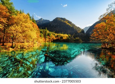 Scenic view of the Five Flower Lake (Multicolored Lake) among fall woods in Jiuzhaigou nature reserve (Jiuzhai Valley National Park), China. Submerged tree trunks are visible in crystal water.