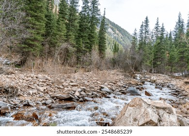 A scenic view of a flowing mountain stream surrounded by rocks and a lush forest, set against a backdrop of towering evergreen trees and distant hills. A peaceful wilderness setting.

 - Powered by Shutterstock