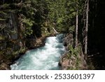 A scenic view of a forest river flowing through rocky terrain with lush green trees on a sunny day.