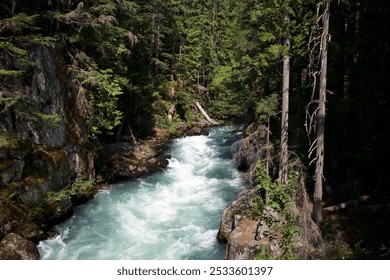 A scenic view of a forest river flowing through rocky terrain with lush green trees on a sunny day. - Powered by Shutterstock