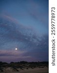 Scenic view of a glowing full moon rising above sand dunes and vegetation, creating a serene and magical twilight atmosphere; Rota, Cadiz, Spain