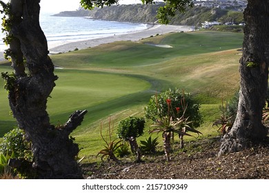 A Scenic View Of A Golf Course Next To Monarch Beach