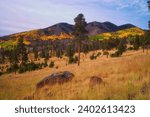 A scenic view of a grassy field with a mountain range in the background. Lockett Meadow, Arizona