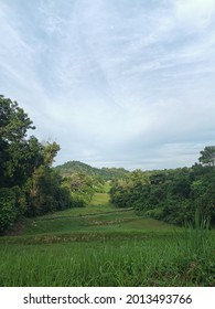 Scenic View Of Green Landscape Of Grassy Field, Trees And Hill