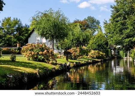 Similar – Image, Stock Photo Backyard Berlin in green blue