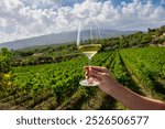 Scenic view of hand holding glass of white wine against lush green vineyard and Mount Etna in Sicily. Perfect representation of wine tourism, showcasing local viticulture and breathtaking landscape.