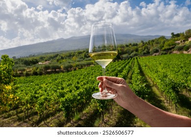 Scenic view of hand holding glass of white wine against lush green vineyard and Mount Etna in Sicily. Perfect representation of wine tourism, showcasing local viticulture and breathtaking landscape. - Powered by Shutterstock