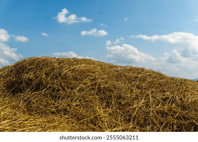 A scenic view of a haystack under a clear sky, representing rural life, agriculture, and the harvest season. The image showcases the simplicity and beauty of countryside landscapes.