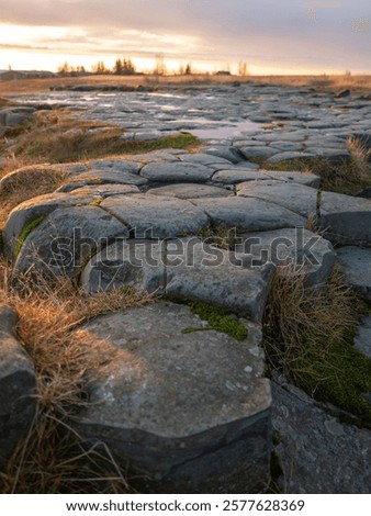 Similar – Image, Stock Photo Basalt columns with moss cushion