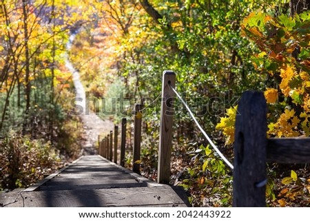 Scenic view from hill at fall. Wooden stairs and pathway downhill. Colorful foliage, copy space