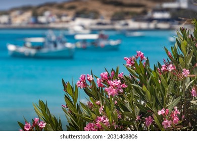 Scenic View From A Hotel In Koufonisia Island In Greece.