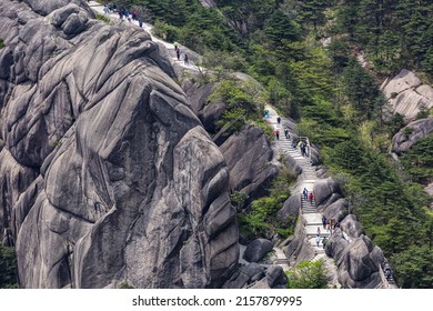 A scenic view of Huangshan mountain covered with trees in Anhui, China