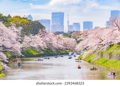 Scenic view of Hundreds of Sakura Trees and Tourist sightseeing boats Spring at Chidorigafuchi moat, Tokyo, Japan - Powered by Shutterstock