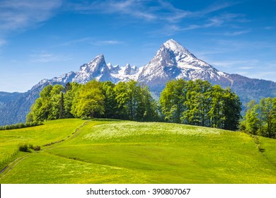 1,544 Alpen Farm Images, Stock Photos & Vectors | Shutterstock